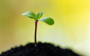 (kép: The BeYou Blog)